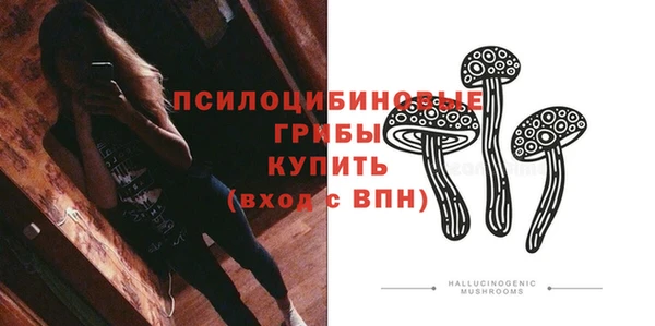 spice Волосово