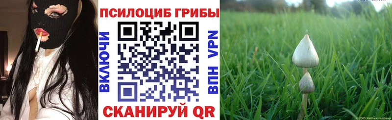 hydra tor купить наркотик Геленджик Псилоцибиновые грибы GOLDEN TEACHER